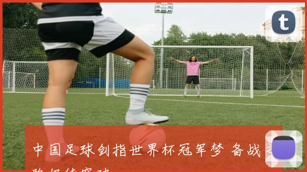 中国足球剑指世界杯冠军梦 备战之路仍待突破